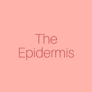 The Epidermis