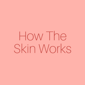 How The Skin Works