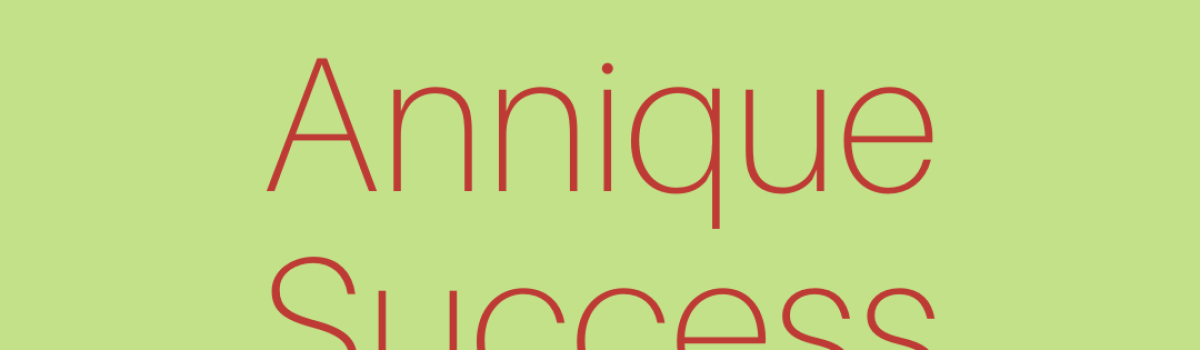 Annique Success Guide | English