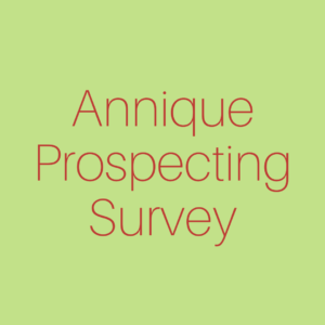Annique Prospecting Survey