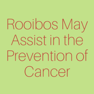 Rooibos May Assist in the Prevention of Cancer