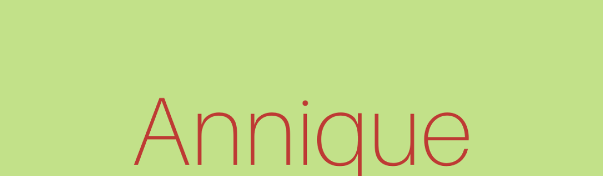 Annique Brand Identity Guidelines