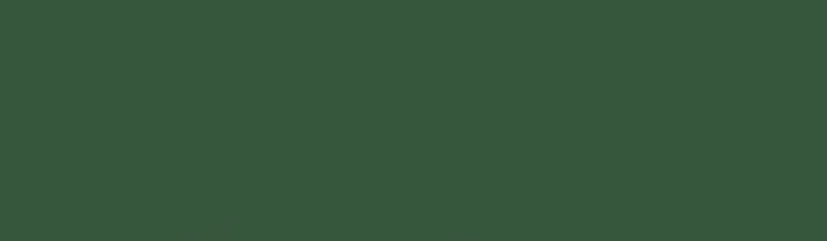 Independent Consultant Brand Guidelines