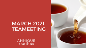 TEAMeeting | March 2021
