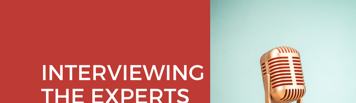Interviewing the Experts – Marianne Germishuys