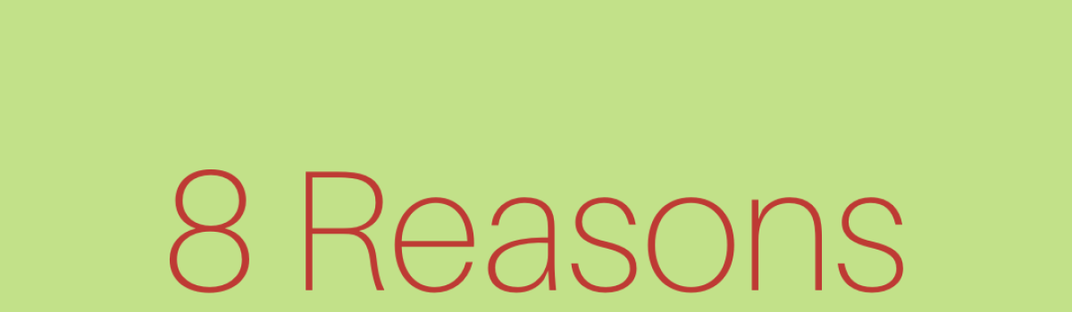 Business Booklet | 8 Reasons why Annique is Unique