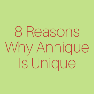 Business Booklet | 8 Reasons why Annique is Unique