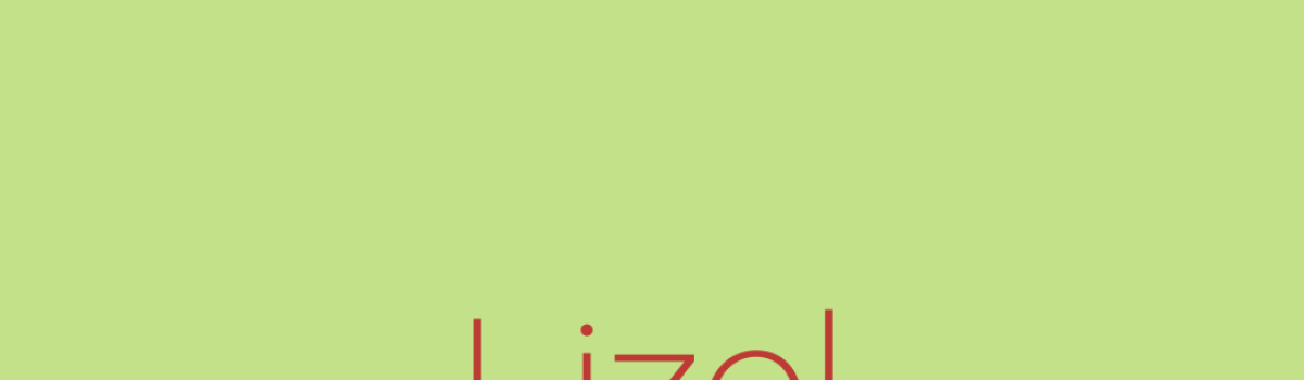 Lizel van Zyl