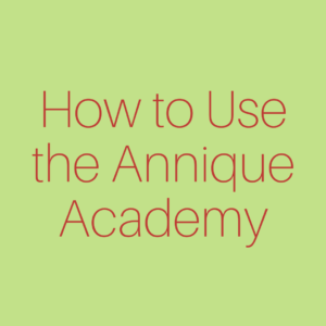 How to Use the Annique Academy