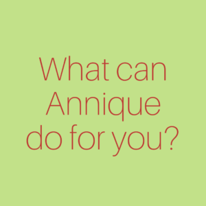 Business Booklet | What can Annique do for you