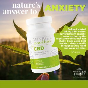 Lifestyle | CBD for Anxiety