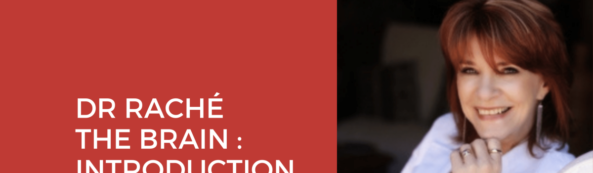 Dr Raché – The Brain: Introduction