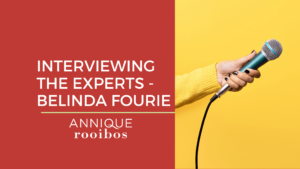 Interviewing the experts – Belinda Fourie