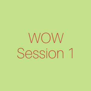 WOW Session 1 2022-2023