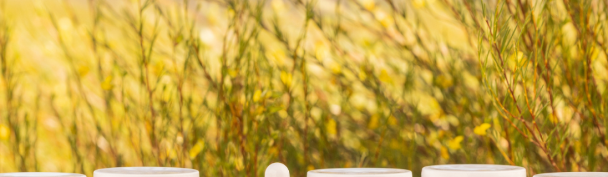 Forever Healthy Supplements