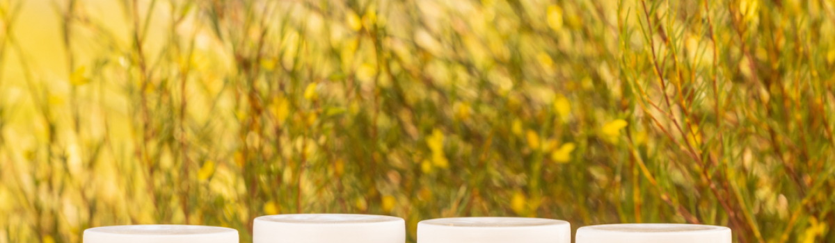 Forever Heathy Superfood Supplements