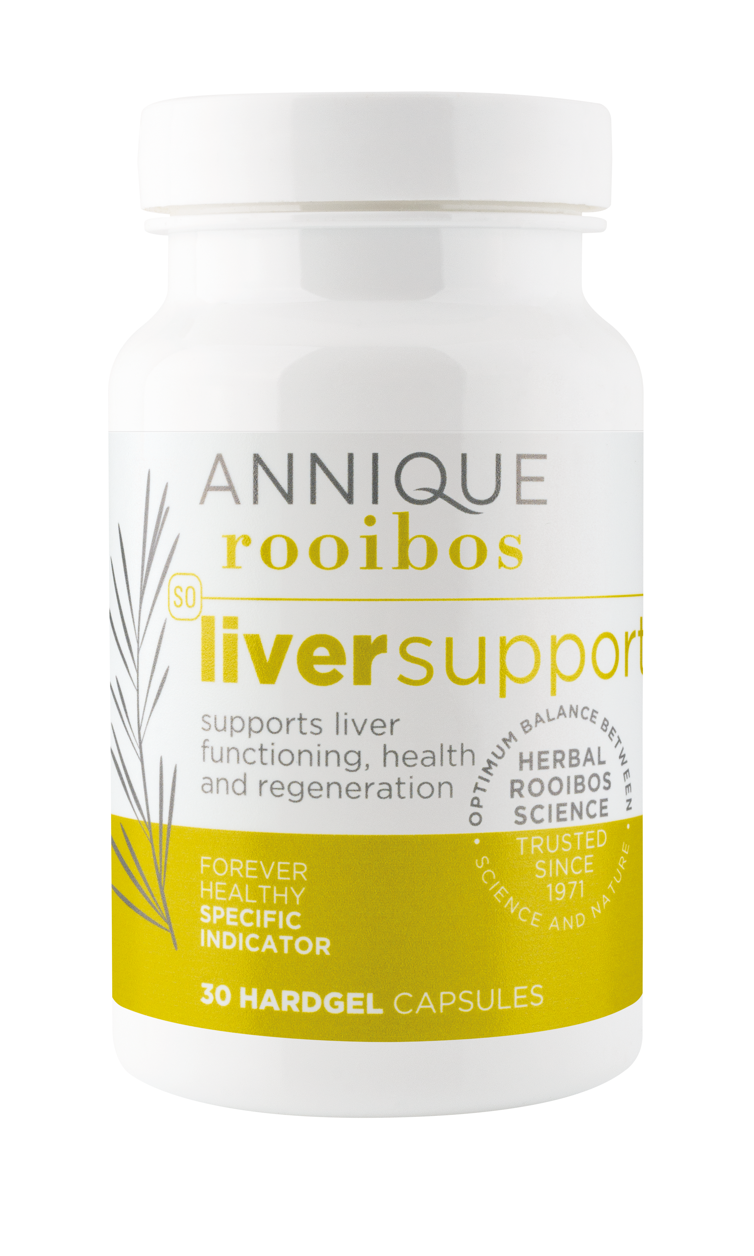 Liver Support – 30 Hardgel Capsules