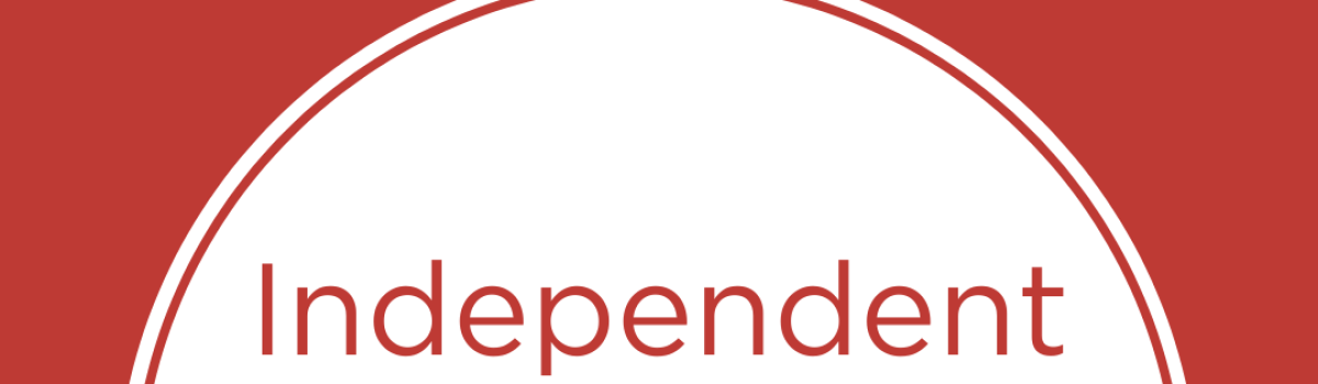 Independent Consultant LUCID Pull Up Banner