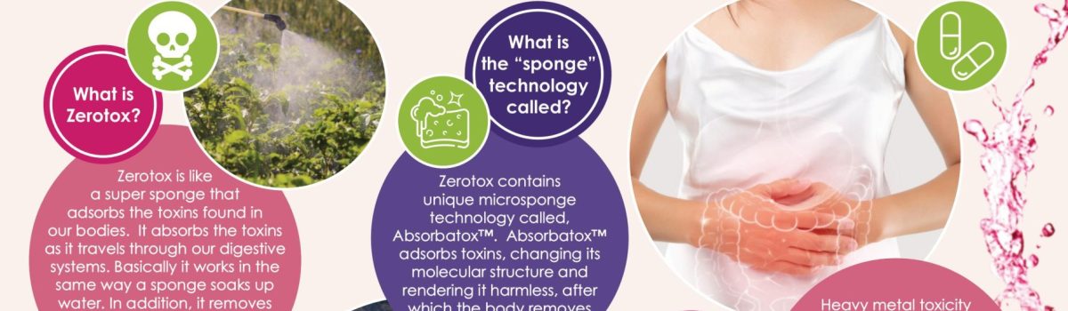 Lifestyle | Zerotox a Super Sponge