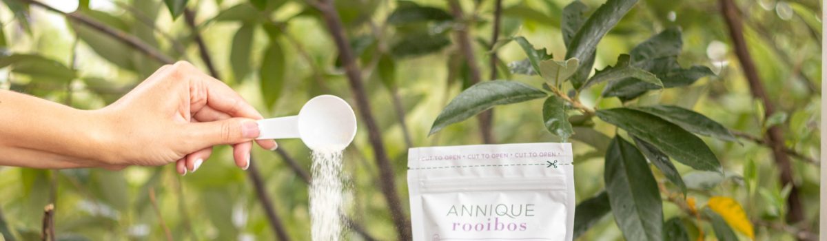 Forever Healthy Launches
