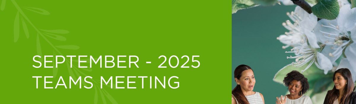 Teams Meeting | September 2025
