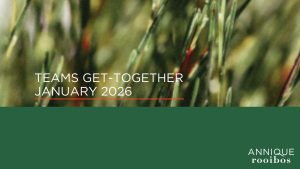 January 2026 Teams Meeting