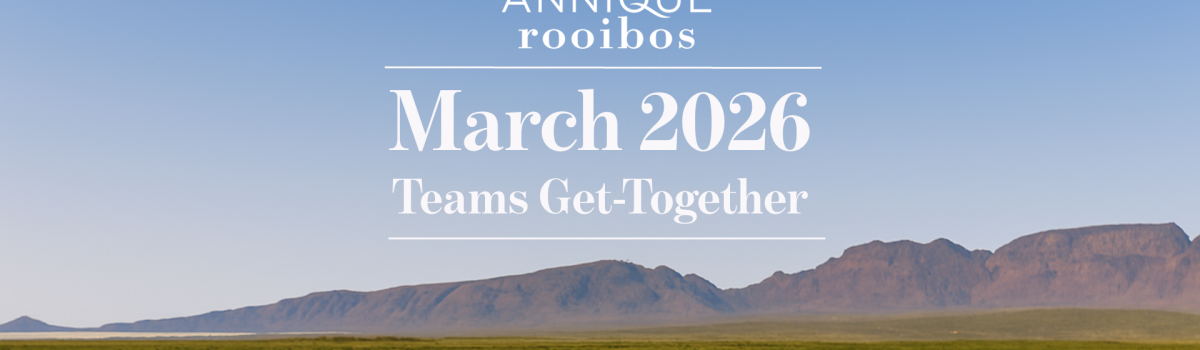 March 2026 Teams Meeting