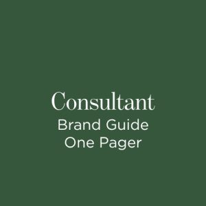 Consultant Brand Guide 1 Pager